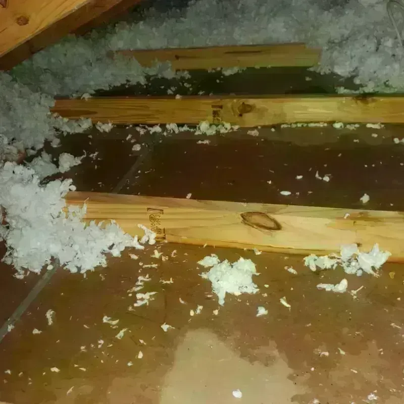 Attic Water Damage in Carroll, IA